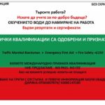 FLAG_2013